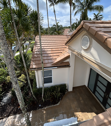 Mr. Clean Roof Pressure Cleaning